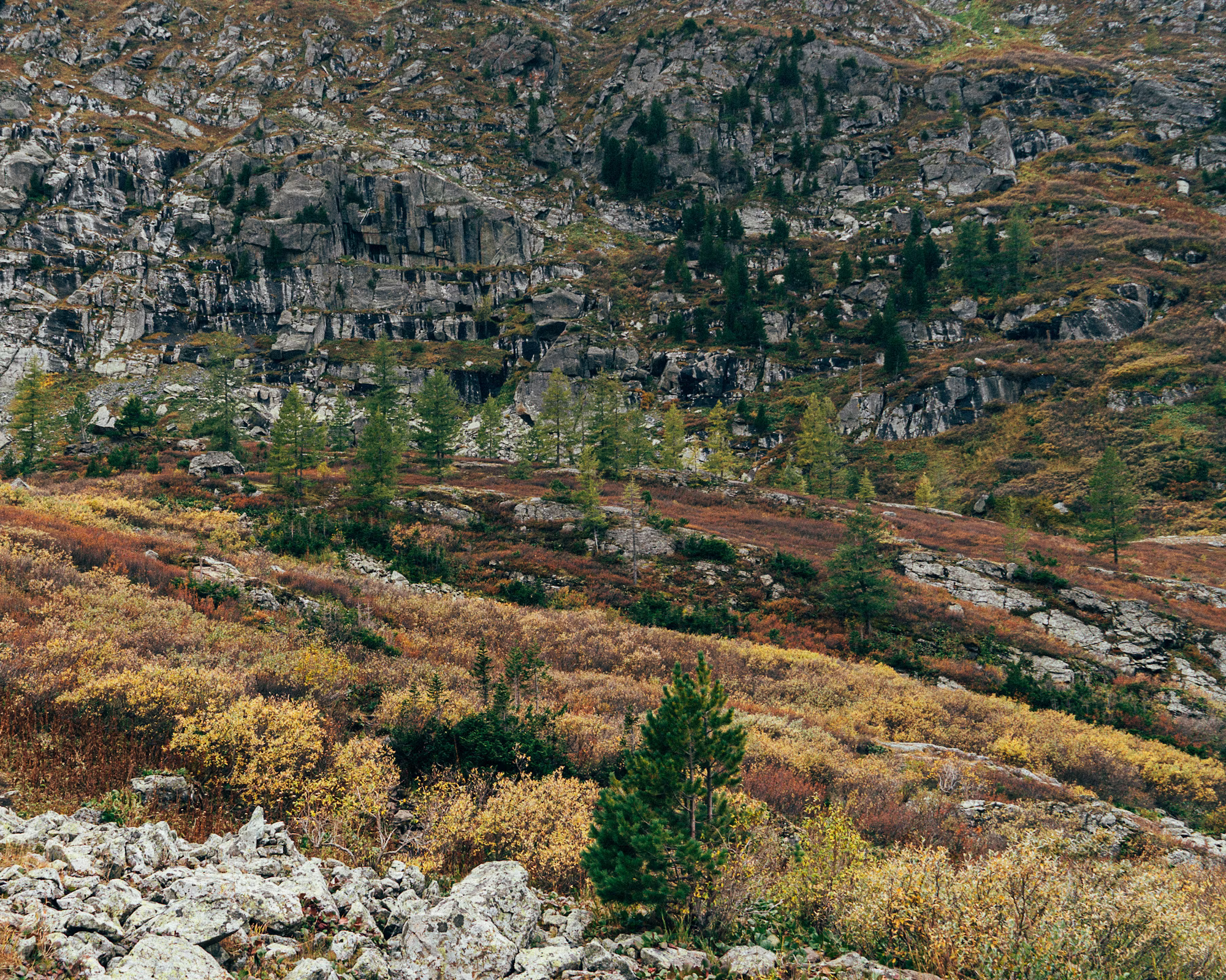 Průvodce pro začátečníky k udržitelnému cestování: Jak prozkoumat svět s minimálním dopadem na životní prostředí